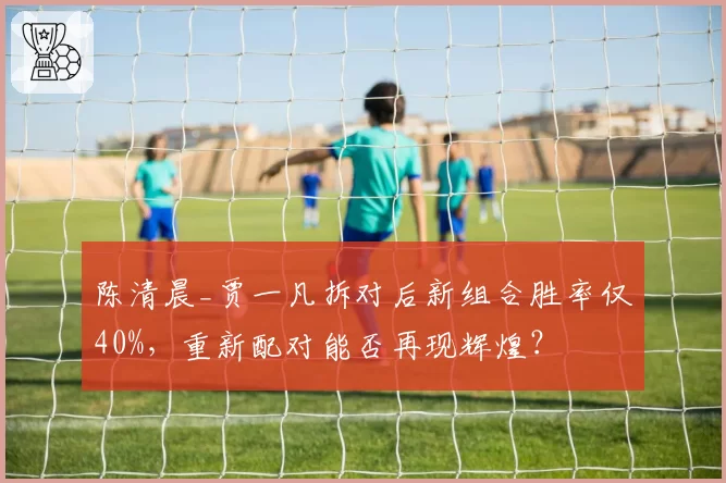 陈清晨_贾一凡拆对后新组合胜率仅40%，重新配对能否再现辉煌？