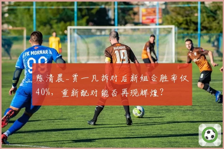陈清晨_贾一凡拆对后新组合胜率仅40%,重新配对能否再现辉煌?