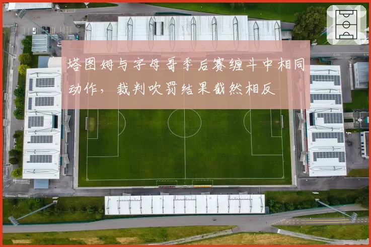塔图姆与字母哥季后赛缠斗中相同动作，裁判吹罚结果截然相反